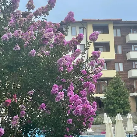 Garden Of Eden Complex, Sveti Vlas, Silvia Apartment